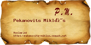 Pekanovits Miklós névjegykártya